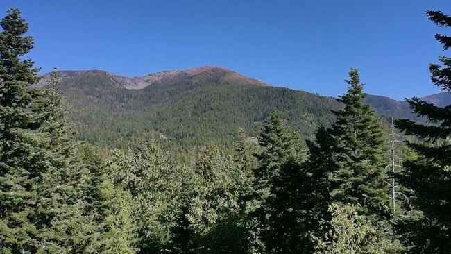 View Expanded | Image 42