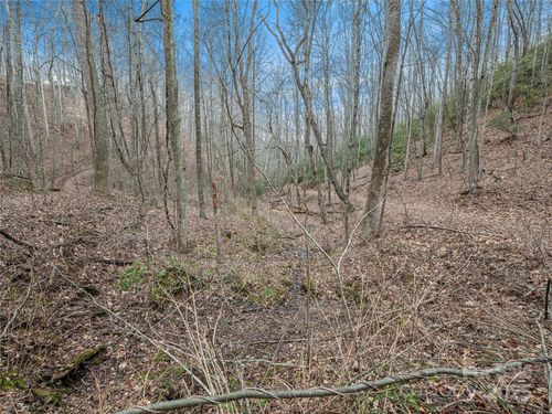 76-19 Mossy Rock Ln, Leicester, NC, 28748-0288 | Card Image