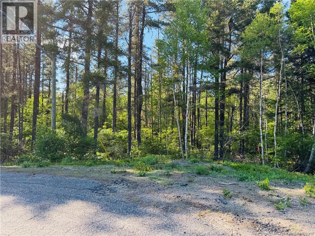 Land in Miramichi 3