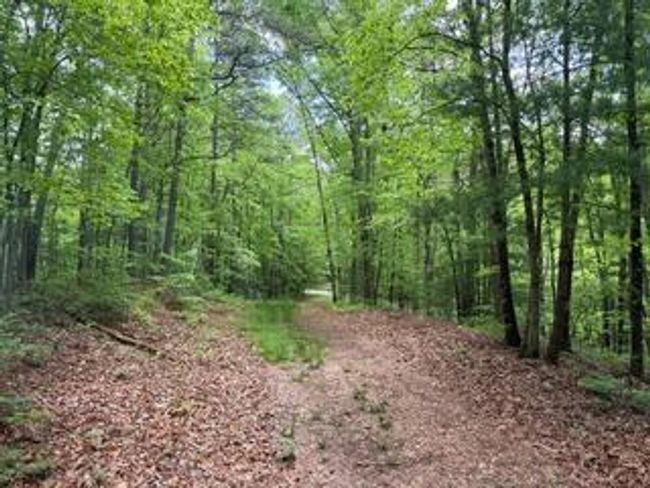 00 Woodsong Haven Ln, Home with 0 bedrooms, 0 bathrooms and null parking in Turtletown TN | Image 6