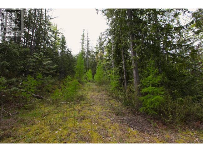 434 Lexington Ave, Home with 0 bedrooms, 0 bathrooms and null parking in Procter BC | Image 19