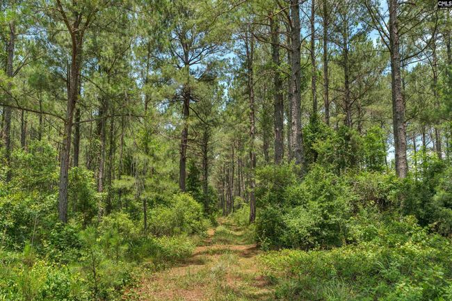0000 N Brewington Rd, Home with 0 bedrooms, 0 bathrooms and null parking in Manning SC | Image 62