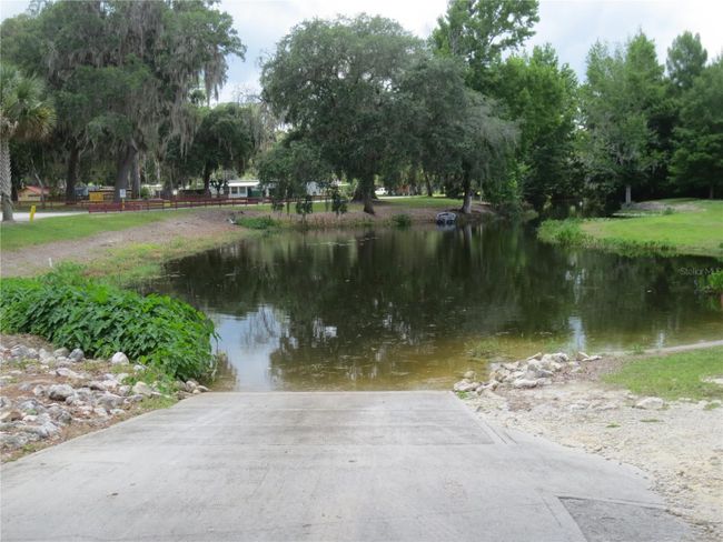 Ocala National Forest Activity | Image 74