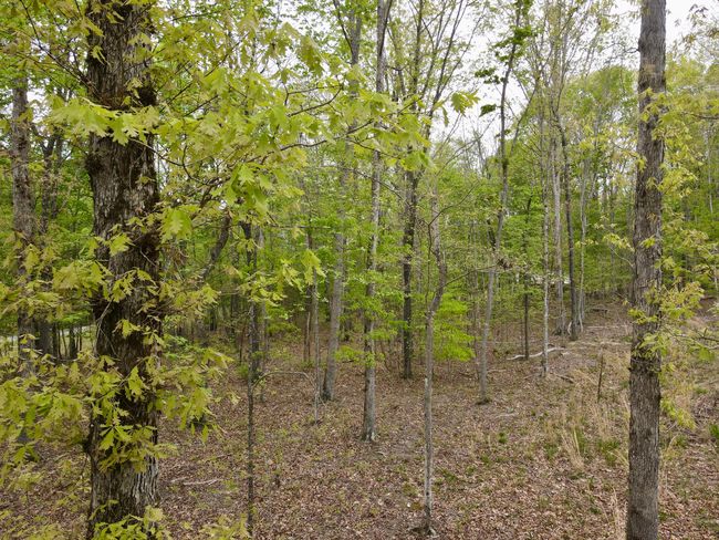 0 Deerwood Dr, Home with 0 bedrooms, 0 bathrooms and null parking in Sewanee TN | Image 17