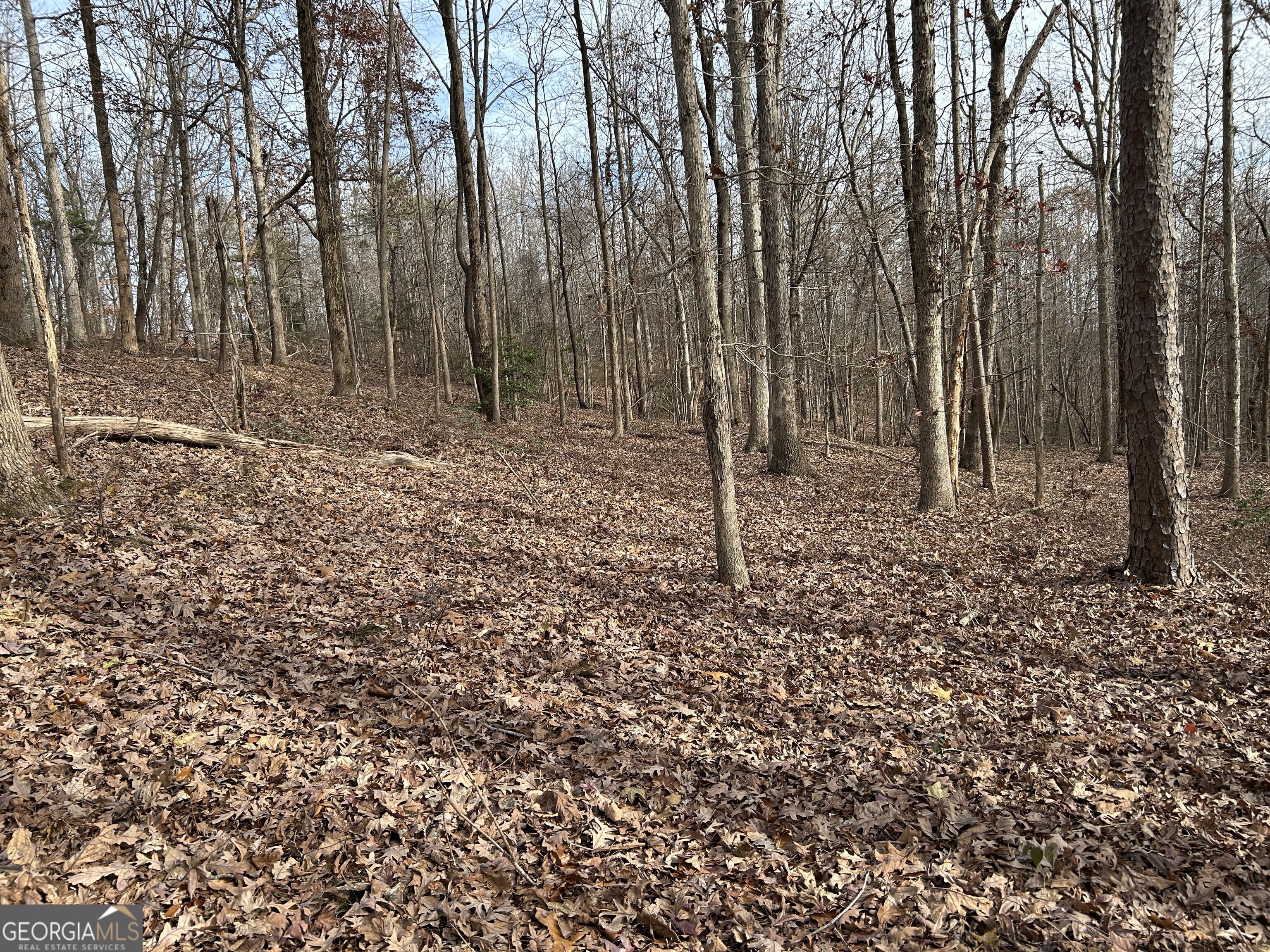 Land in Baldwin