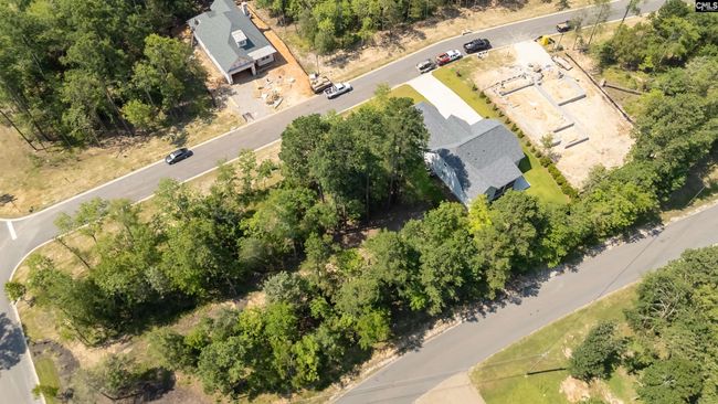 812 Elms Spinney Ln, Home with 0 bedrooms, 0 bathrooms and null parking in Chapin SC | Image 18