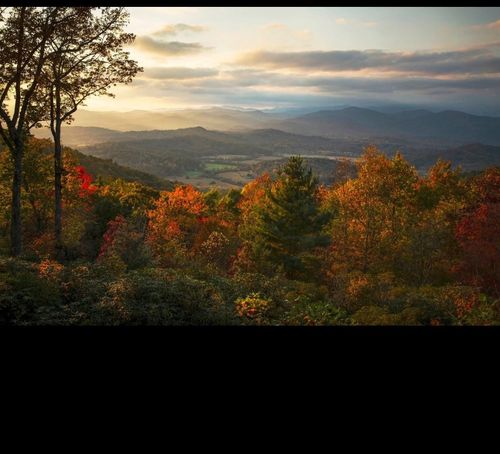 658 Johnson Rd, Brevard, NC, 28712-7938 | Card Image