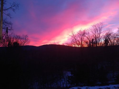 769 Straight Rd, Belmont, VT, 05730-4412 | Card Image
