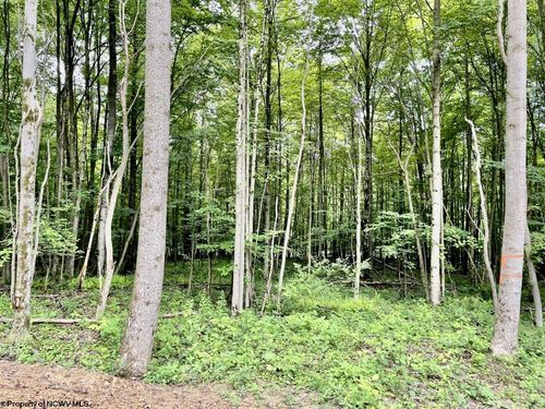 4 Holleran Heights, Kingwood, WV, 26519 | Card Image