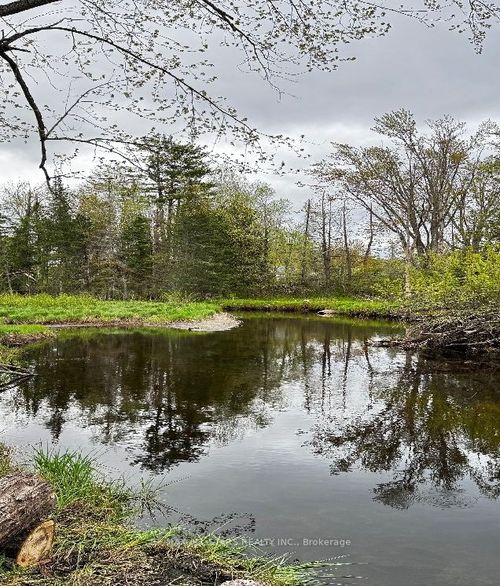 2348 Northey'S Bay Rd, North Kawartha, ON, K0L2H0 | Card Image