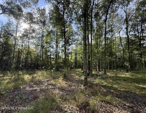 0 Old Highway 16, Canton, MS, 39046 | Card Image