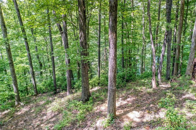 533 Shooting Tree Way, Home with 0 bedrooms, 0 bathrooms and null parking in Salem SC | Image 16