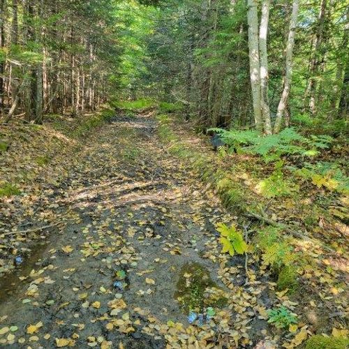 862 Hemore Road, Hammond, ME, 04730 | Card Image