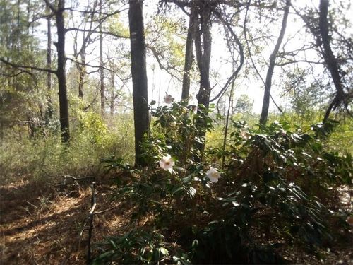 19390 Joan Harris Rd, Mount Vernon, AL, 36560-3216 | Card Image