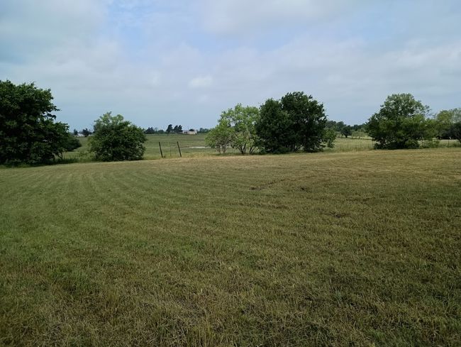 3100 Briarcliff Cir, Home with 0 bedrooms, 0 bathrooms and null parking in Gainesville TX | Image 7