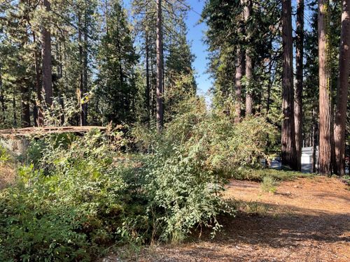 791 Highway 4, Arnold, CA, 95223 | Card Image