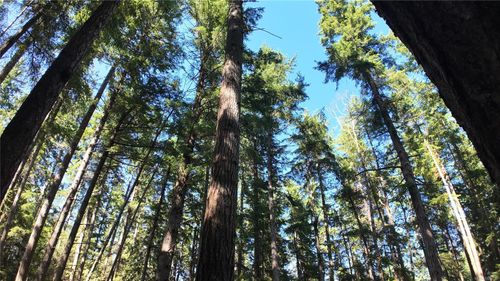 4480 Strachan Rd, Hornby Island, BC, V0R1Z0 | Card Image