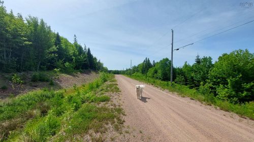 Lot 22 Kopylov Lane, Kempt Road, NS, B0E1J0 | Card Image