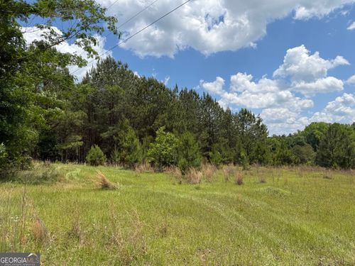 004 Little Sandy Creek Road, Toomsboro, GA, 31090 | Card Image