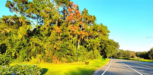 TBD Palm Dr, Yalaha, FL, 34797 | Card Image