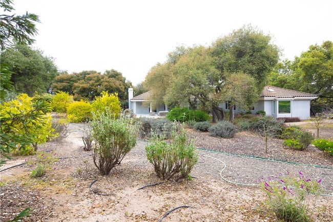 Several varieties of fruit and citrus trees | Image 59