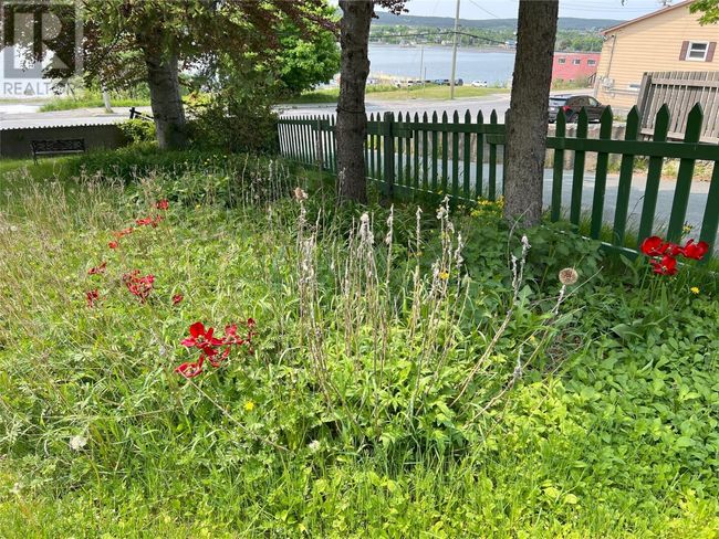 170 Water St, House other with 4 bedrooms, 5 bathrooms and null parking in Carbonear NL | Image 45