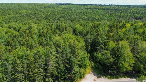 41 Addison Road, Columbia, ME, 04623 | Card Image