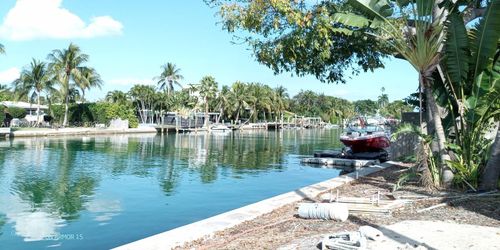 apt-6-1725 Calais Dr, Miami Beach, FL, 33141-3543 | Card Image