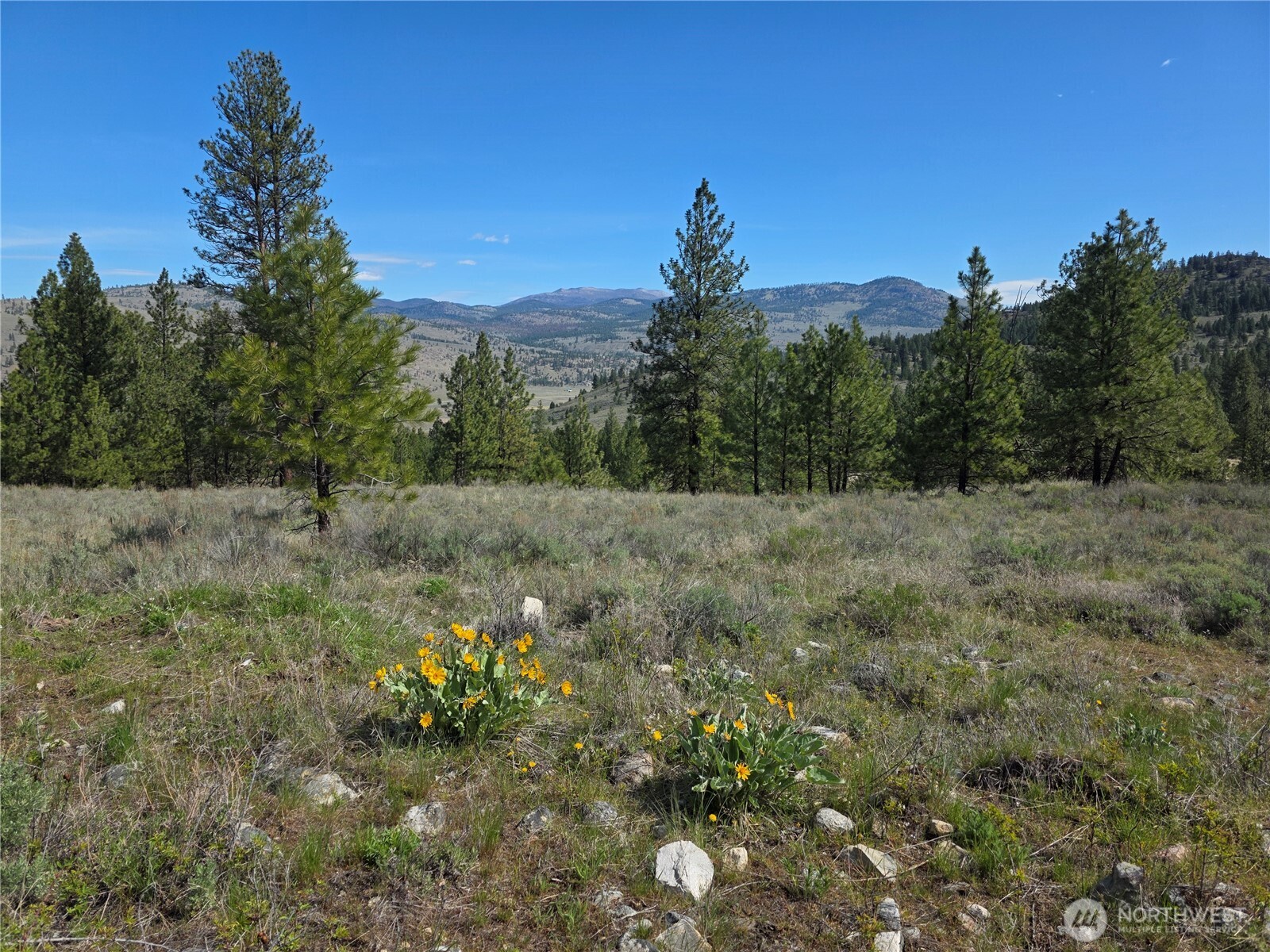 Land in Tonasket 5
