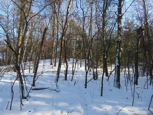 Lot 1 Lincoln Ave, Amery, WI, 54001 | Card Image