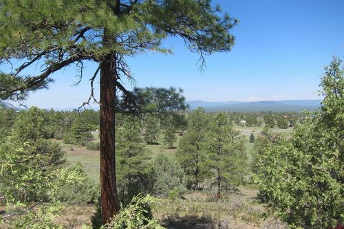 295 Sage Cir, Pagosa Springs, CO, 81147-7945 | Card Image