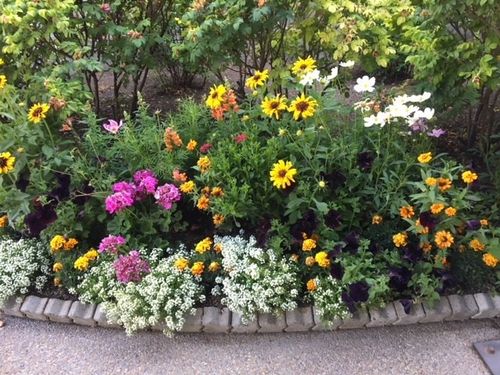 unit-1013-wk-20-107 Spyglass Hill Loop, Columbia Falls, MT, 59912 | Card Image