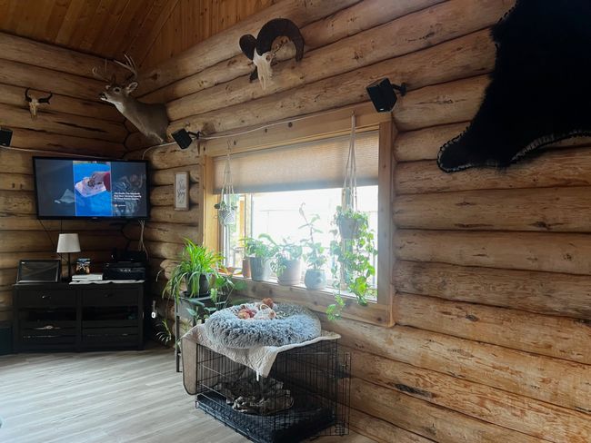 223 E G St, House other with 1 bedrooms, 1 bathrooms and null parking in Sula MT | Image 11