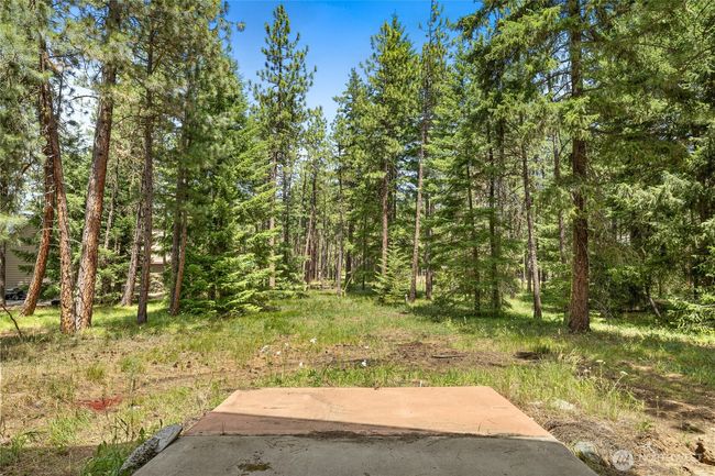 1201 Evergreen Valley Loop Rd, House other with 3 bedrooms, 2 bathrooms and 5 parking in Ronald WA | Image 25