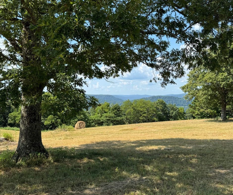 Land in Mount Judea 5