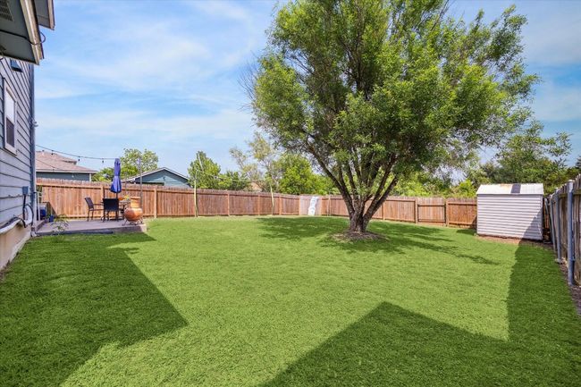 New fence | Image 23