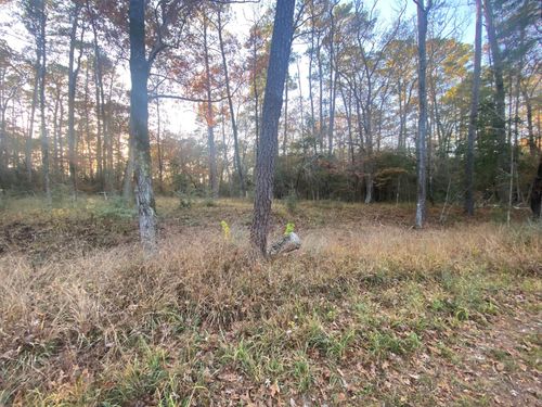 26721 E Pecan Cir, Huntsville, TX, 77320 | Card Image