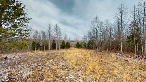 0 Horseshoe Hollow Rd, Dover, TN, 37058 | Card Image