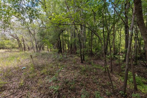 8198 Shasta St, Webster, FL, 33597-9219 | Card Image