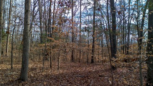 5 Armstrong Dr, Dandridge, TN, 37725 | Card Image