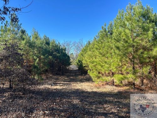 TBD Cr 2345, Marietta, TX, 75566 | Card Image