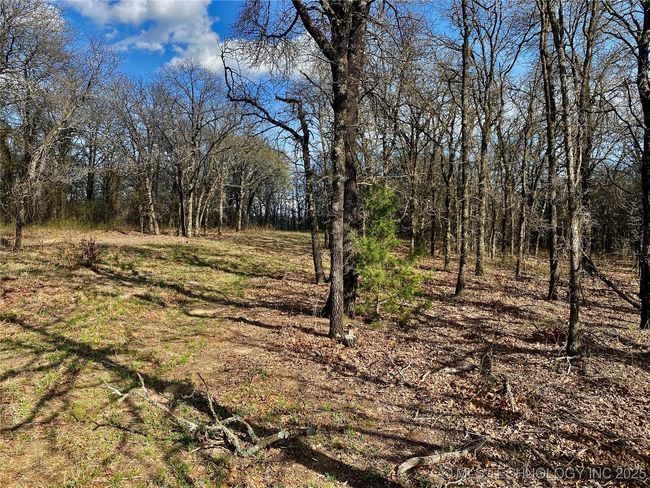 2 State Highway 76, Home with 0 bedrooms, 0 bathrooms and null parking in Wilson OK | Image 11