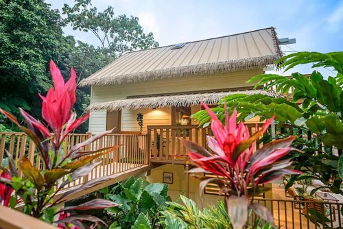 19-i-CALLE 9 Mameyes II Colinas Del Yunque, RIO GRANDE, PR, 00745 | Card Image