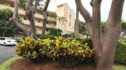 apt-405-6936 Huntington Ln, Delray Beach, FL, 33446-2544 | Card Image