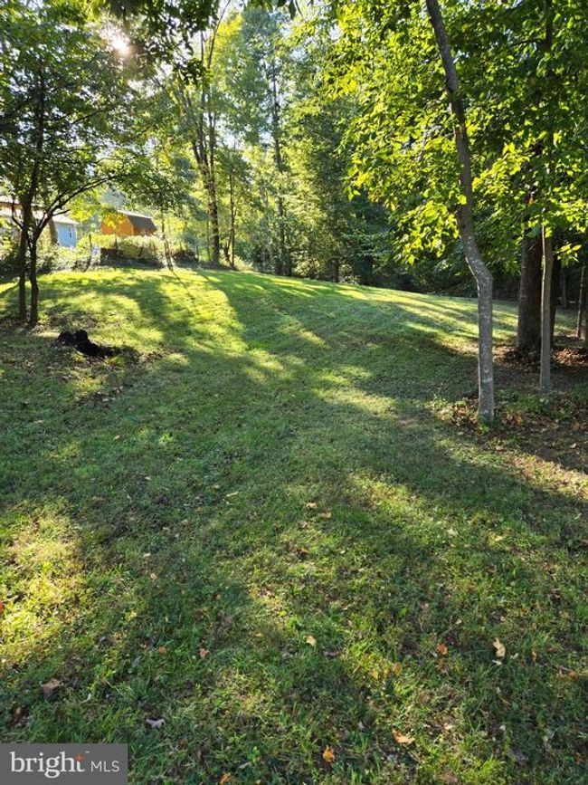 250 Willis Ford Ln, House other with 3 bedrooms, 2 bathrooms and null parking in ROCHELLE VA | Image 32