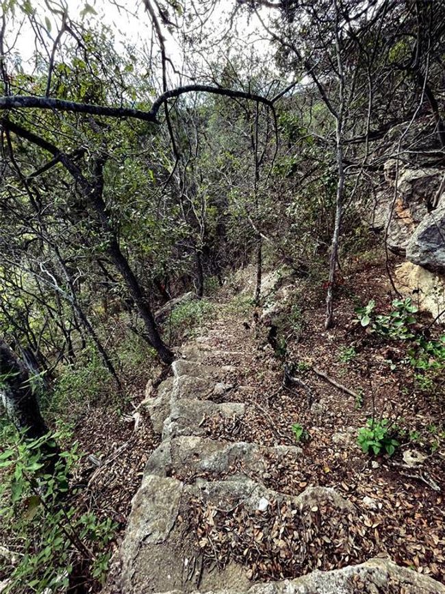 View of landscape with a wooded view | Image 20