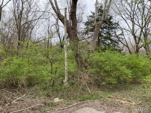 0 Jewell St, Park Hills, MO, 63601 | Card Image
