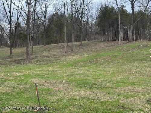 Lot 2 High Falls Road Ext, Catskill, NY, 12414-5606 | Card Image