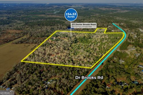 271 Dr Brooks Rd, Box Springs, GA, 31801-3311 | Card Image