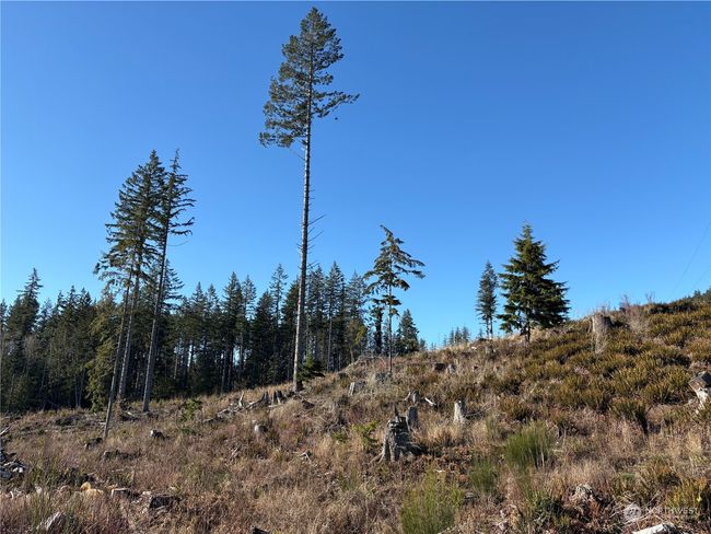 0 Sequim Ave S, Home with 0 bedrooms, 0 bathrooms and null parking in Sequim WA | Image 10
